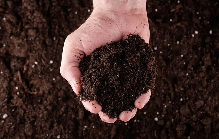 AgroKomposty - kontakt