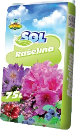 Rašelina